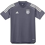 adidas Jungen T-Shirt DFB TR JSY Y, Onix, 116 (5/6 años), FI0753