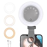 Ringlicht Laptop Videokonferenz Licht, LED Ringleuchte Dimmbare Webcam Beleuchtung mit Clip für Selfie, Ringleuchte für Zoom Meeting, Tiktok, Makeup, Live Stream, YouTube, Fotografie (Grau)