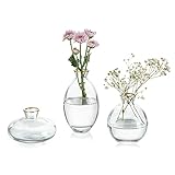 Kleine Vasen Für Tischdeko Vintage Handmade, 3 Teilig Mini Vase Glas Goldrand Blumenvase Modern Set Verschiedene Groessen Schlanke Hydroponic Glasvase Fuer Blumen Deko Hochzeit Tisch W