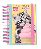Jährlicher Kalendertag Seite S 2022 (Studio Pets Cats)