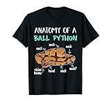 Anatomie Königspython Schlagen Schlangenhalter Ball Python T-S