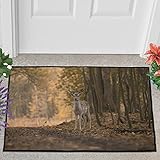 AXGM Fußmatte Fussmatte Natur Wald Baum Hirsch 3D Print Bodenmatte Innen Teppich rutschfest Gummimatte Schmutzfangmatte für Haustreppe Dekor White 50x80