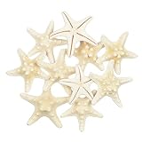 ixuan LLC Seestern, gemischte Seestern, natürliche, Bunte Muscheln, perfekt für Hochzeit, Strand, Motto-Party, Heimdekoration, Basteln, Aquarium,Fischernetzdeko (10 Stück klein)
