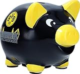 Borussia Dortmund BVB Sprücheschw