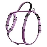 Halti Walking Hunde-Brustgeschirr (43-60cm) (Violett)