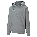 PUMA Unisex Kinder, teamGOAL 23 Casuals Hoody Jr Hoodie, Medium Gray Heather, 176