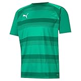 PUMA Unisex Teamvision Jersey T-Shirt, Grün (Pepper Green-Power), XXXL