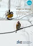 Vögel im Winter: Einheimische Vögel kennen lernen!