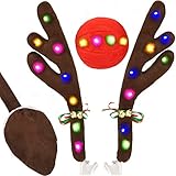 Rentier Auto Rudolf mit LED Lichtern für Auto Rentier kostüm weihnachtsdeko, Auto Rentier Geweih mit Schwanz 43cm Braunes Rentier-Geweih für den Kühlergrill Ren Rote und Braunes Schwanz für Truck SUV