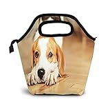 LQKSSLBO Lunchtasche Isoliert Herren Damen Beagle Hund, Lunchbag Mittagessen Tasche Thermotasche Isoliertasche für Die Arbeit Und Die Schule Picknick