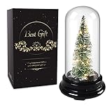 NC Christmas Tree Night Light Ornaments Luminous Ornaments Lights Two-Color LED String Lights, Night Lights, Christmas D