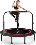 Fitness Trampolin Ø ca 102 cm,Jumping Fitness Trampolin Indoor,Fitness Trampolin Klappbar,Fitness Trampolin mit Höhenverstellbarer Haltegriff,Sport Trampolin Erwachsene Maximale Belastung bis 150kg