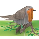 papercrush® Pop-Up Karte Rotkehlchen [NEU!] - 3D Geburtstagskarte mit Vogel für Frauen (Freundin, Mama oder Oma) - Handgemachte Glückwunschkarte zum Geburtstag für Vogelliebhaber und G