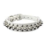 HMGANG Hundehalsband mit Nieten 2,5 cm Breite Pet Halsbänder Runde Spike Nieten Kleine Mittlere Hund Welpen Halskette Kragen (Color : White, Size : XS)