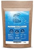 Marine Kollagen Pulver 500g - Collagen Hydrolysat Peptide Typ I und Typ II - Wehle Sports Fisch Kollagen Geschmack