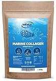 Marine Kollagen Pulver 500g - Collagen Hydrolysat Peptide Typ I und Typ II - Wehle Sports Fisch Kollagen Geschmack