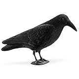 Navaris Crow Decoy – gefälschte schwarze Krähe Lockvogel zum Anlocken von Krähen, Jagd, Vogelscheuchen, Halloween-Dekoration – Hof, Garten, Deck, T