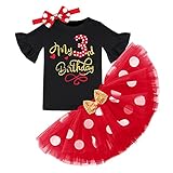 Kleinkinder Mädchen Mein 3. Dritter Geburtstag Outfit Maus Kostüm Gepunktet Tütü Rock Baumwolle Kurzarm T-Shirt Top mit Schleife Stirnband 3tlg Bekleidungsset Fotoshooting Rot + Schwarz 3 J
