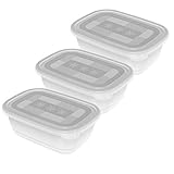 Rotho Freeze 3er-Set Gefrierdosen 1l mit Deckel, Kunststoff (PP) BPA-frei, transparent, 3 x 1l (19,5 x 13,5 x 10,0 cm)