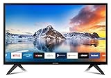 DYON Smart 22 XT 56,4 cm (22 Zoll) Fernseher (Full-HD Smart TV, HD Triple Tuner (DVB-C/-S2/-T2), Prime Video, Netflix, YouTube & HbbTV, WLAN, Hotel Modus)