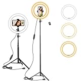 10 Zoll LED Ringlicht mit 59 Zoll Stativständer & Handyhalter, Dimmbare Tischringlicht für YouTube-Videoaufnahmen, Selfie, Live-Stream, Makeup/Fotografie Kompatibel mit Smartp