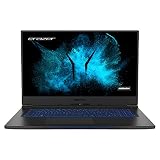 MEDION ERAZER Beast X10 43,9 cm (17,3 Zoll 144Hz) Full HD Gaming Notebook (Intel Core i7-10750H, 32GB DDR4 RAM, 1TB PCIe SSD, NVIDIA GeForce RTX 2070 Super 8GB GDDR6 Max-Q, Win 10 Home)