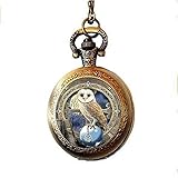 Steampunk Keltische Wicca Eule Taschenuhr Halskette Vintage Charm Schmuck Glas Foto Schmuck