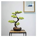 zxb-shop Künstlicher Baum Künstlicher Bonsai-Baum, 14 Zoll Gepflogene künstliche Hauspflanzen, Schöne Pine Bonsai-Pflanze, gefälschte Bonsai-Baumpflanzen für Garten-Balkon-Dekor Simulation B
