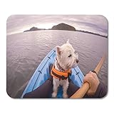 Gaming Mouse Pad West Highland White Terrier Westie Hund Mit Schwimmweste Kajak Fahren In Paihia Bay Of Islands Neuseeland Rechteck Mausmatte Rutschfeste Gummibasis Mousep