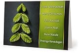 50 Premium Weihnachtskarten international inkl. Umschläge, Motiv: Tannenbaum aus Zweigen grün WK12155, große Klappkarten im Set. Ideal für für Firmen Behörden Handel und Dienstleistung