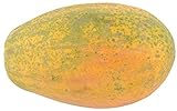 CHTING 10 Stück Papaya Saat Mehrjährige holzige Früchte Einstiegssorte Einfach zu pflanzen Gartenbauernhof Sommerernte Reife Früchte Zierb