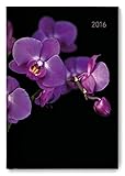 Buchkalender Orchid 2016 - Bürokalender A5 / Cheftimer A5 - 1 Tag 1 Seite - 352 S