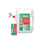 Envira Effect Universal-Insektizid - Insektenspray Mit Langzeitwirkung - Anti-Insekten-Mittel, Wasserbasis - 500 ml + 2L