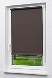 LYSEL Outlet - Mini Rollo abdunkelnd Schokobraun, (B x H) 63cm x 190cm in braun/Schokob