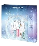 Dr. Grandel Adventskalender befüllt mit 25 Wirkstoffampullen a 3