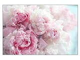 Fototapete Tapeten Blühende Pfingstrose Elegante Blume Rosa Romantisch Wandtapete PVC Moderne Wanddeko W