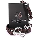 Dog & Dress by Nacy Kena Hundehalsband Und Leine Set, Silber, Verstellbar,Hundeleine, 2m, 3 Ringe, Karabiner, Große Kleine Hunde, Nylon, Geschenk H
