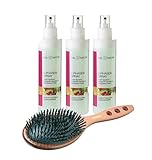 Beauty-Set: Feel Nature 2 Phasen Pflegespray 200ml 3 Stück & Hairforce Haarbürste Palisander 13-reihig