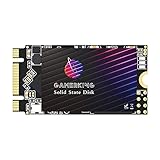 Gamerking SSD M.2 2242 1TB NGFF interne Solid State Drive High Performance Festplatte für Desktop-Laptop SATA III 6Gb/s M2 SSD (1TB, M.2 2242)