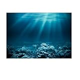 SM SunniMix Aquarium Hintergrund Poster Fisch Tank Dekoration - Unterwasser, XS