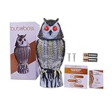 Buboss Falsche Eule Vogelscheuche Vogelschreck aus Kunststoff mit 4 einzigartigen Funktionen: rotierender Kopf, rot blinkende Augen und solarbetriebene Bewegung für Outdoor, Garten und H