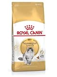 Maltbys' Stores 1904 Limited 20 kg (2 x 10 kg) Royal Canin Norwegian Forest Katzenfutter für Erw