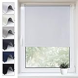 Buseu Verdunkelungsrollo Klemmfix 80x220cm(BxH) Weiß Sichtschutz Thermorollo ohne Bohren,Hitzeschutz &Sonnenschutz Fensterollo fü