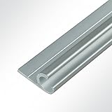 LYSEL® Kederschiene 15x30mm eloxiert 2m 45° Grau Ø10mm für Keder 6-9