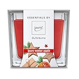 ipuro Essentials Duftkerze winter apple - Raumduft für eine wohlig-warme Atmosphäre - Kerze mit hochwertigen Inhaltsstoffen (125g) - Dekorative Wachskerze in Glasbehältnis- Perfekt als Gesc, IFC0213