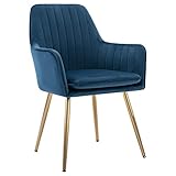 Irene House Schlafzimmerstuhl aus Samt mit Metallbeinen Wohnzimmerstuhl Esszimmerstuhl Stuhl für Schminktisch (blau, 1)