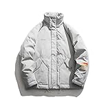 ZSYDS Herren Daunen Jacke Stehkragen Retro Highd Aviator Hoodie Winter Warme dicke Blase Mantel Freizeitjacke Warme und winddichte Oberbekleidung (Color : Light gray, Size : 3XL)