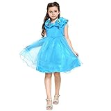 Katara 1686 - Cinderella, Aschenputtel Kostüm-Kleid in blau für Mädchen / Kinder von 2-10 Jahren mit Schmetterlingen und viel Tüll für Karneval, Fasching, Halloween oder Geburtstagsparty