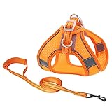 JOYPAWS Hundegeschirr und Leine, Set – Haustierbedarf, Geschirr, kein Ziehen, atmungsaktives Air-Mesh-Welpengeschirr, verstellbar, reflektierend, Orange, XL (Brustumfang: 54.6 cm - 63.5 cm)