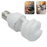 UVB Reptile Light 10.0, Schildkrötenbirnen Energiesparende kompakte Terrarienlampe für Wüstenreptilien Haustier Schlange Schlange/Eidechse/Insekt/Leopard Spiralrohr E27 Schraube (UVB10.0 13W)